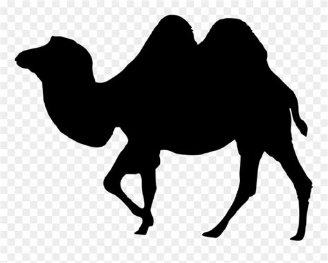 Desert Clipart Desert Caravan - Camel Silhouette Vector Png Transparent ...