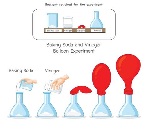 Baking Soda and Vinegar Balloon Science experiment 21669329 Vector Art at Vecteezy