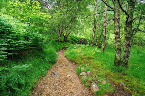 The Scottish Highlands: Best Of Scotland's Mountains, Lochs, and Glens!