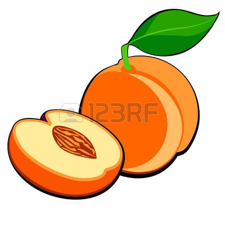 Apricot Clipart | Free download on ClipArtMag