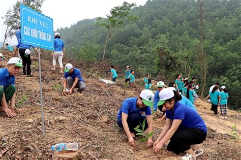 Gov’t gives green light to one billion tree planting project