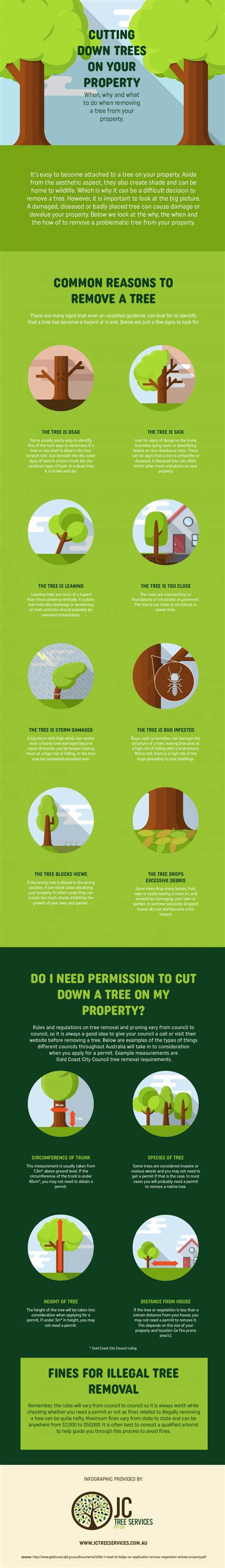 Cutting down trees on your property? Read this first! (infographic)