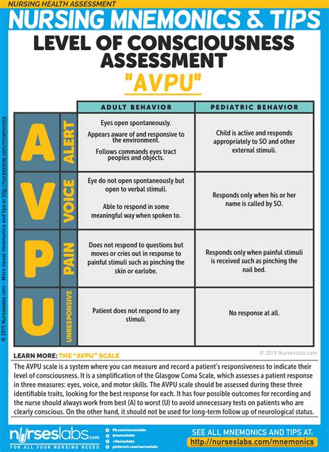 Nurseslabs — Nursing Health Assessment Mnemonics & Tips