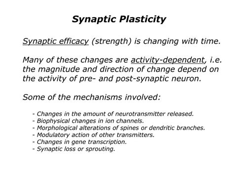 PPT - Synaptic Plasticity PowerPoint Presentation, free download - ID:529275