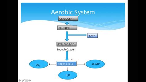 1 3 Aerobic & Anaerobic Energy - YouTube