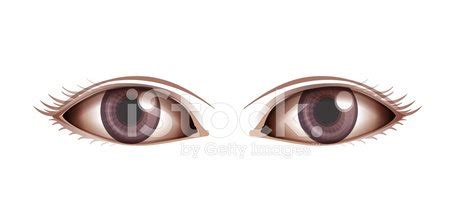 Human Eye Stock Vector | Royalty-Free | FreeImages