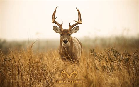 Realtree Wallpapers - Top Free Realtree Backgrounds - WallpaperAccess