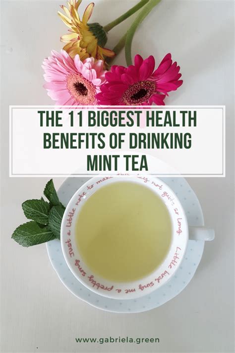 The 11 Biggest Health Benefits Of Drinking Mint Tea - Gabriela Green