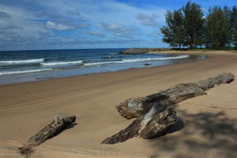 Brunei Beaches Stock Photos, Pictures & Royalty-Free Images - iStock