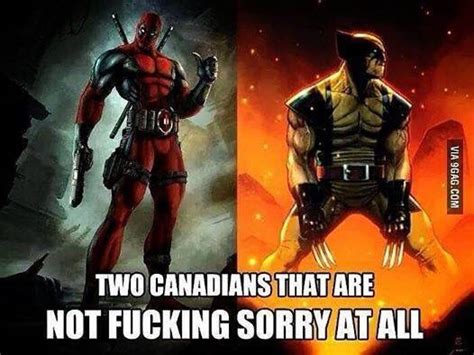 Deadpool vs Wolverine | Deadpool, Canadian memes, Best funny pictures