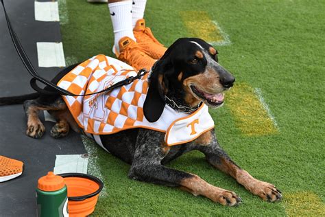 UT Vols: Smokey and other Tennessee mascots