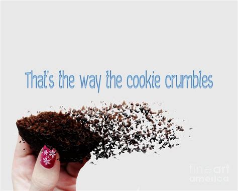 That's the way the cookie crumbles Photograph by Humorous Quotes - Fine Art America