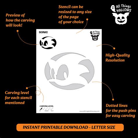 SONIC Pumpkin Carving Stencil Template Halloween Jack O Lantern Pattern ...