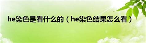 he染色是看什么的（he染色结果怎么看）_环球知识网