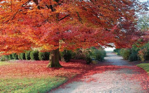 Herfst bureaublad achtergrond | Mooie Leuke Achtergronden Voor Je ...