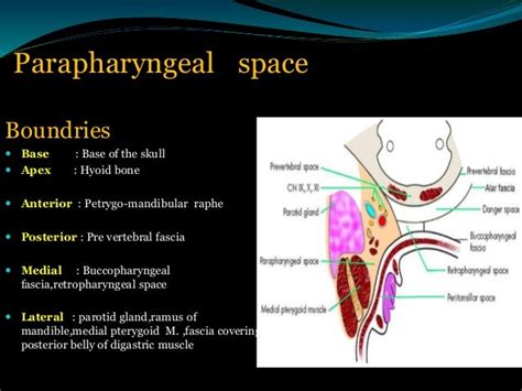 Surgical treatment of paraphyrngeal and retropharyngeal abscesses