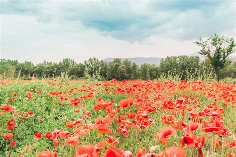 Tuscany: Val d'Orcia Travel Guide and Best Stay — A Charming Escape