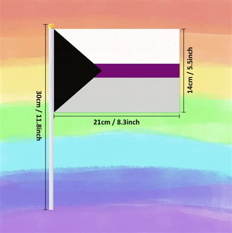 Demisexual handheld pride flag – PridePoint