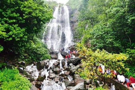 Weekend vacation in Amboli: A thousand shades of green