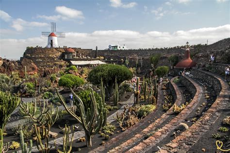 Cactus Garden (Lanzarote) - Visit Tips + Photos