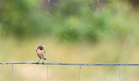 Through The Drops: 30 Magnificent Rain & Monsoon Photos For Your ...