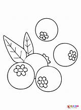 20  Blueberry Coloring Pages Free Printable PDF & Online sketch template