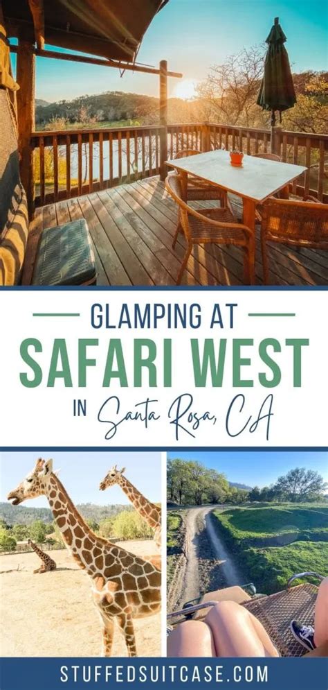 What It's Really Like to Stay at Safari West in Santa Rosa