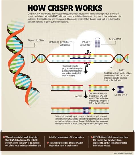 43 best Scientist Debate the ethics of Crispr images on Pinterest ...