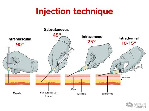 Clinical Anatomy & Operative Surgery