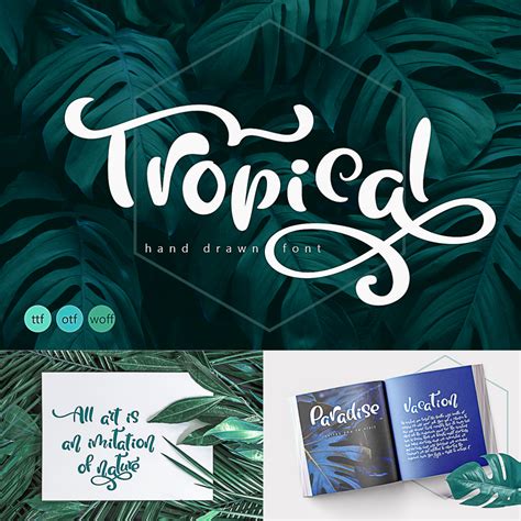 Tropical Summer Font | Free download