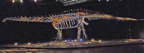 Apatosaurus, the Dinosaur Once Known As Brontosaurus