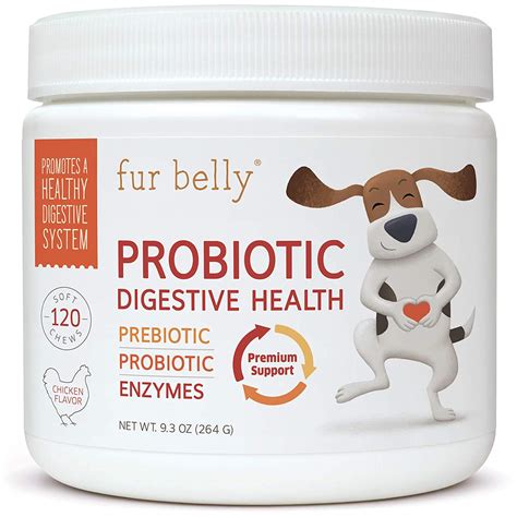 4 All Natural Probiotics for Dogs we Love - The Pets Digest