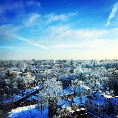 Winter morning, Ann Arbor, Michigan | Michigan go blue, Michigan ...