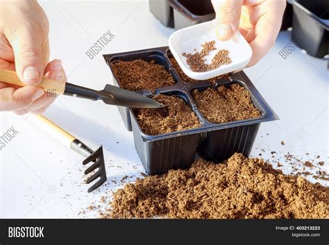 Farmers Sowing Seed Image & Photo (Free Trial) | Bigstock