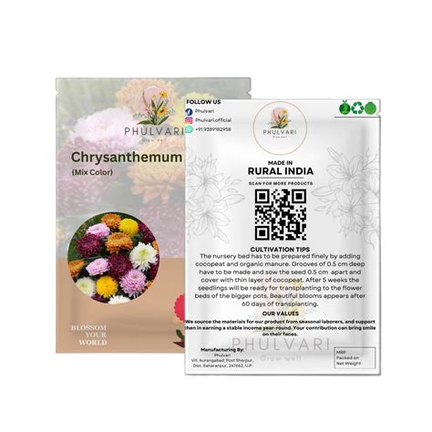 Chrysanthemum Seeds – Phulvari