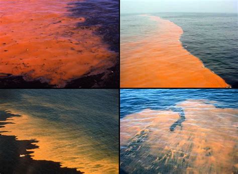 ‘Red Tide’ Phenomenon in Rainbow of Algal Bloom Colors [38 PICS]