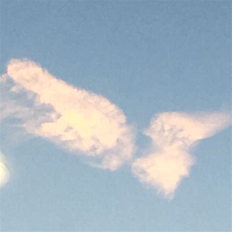 Angel wing clouds ☁️😇 | Clouds, Angel wings, Outdoor