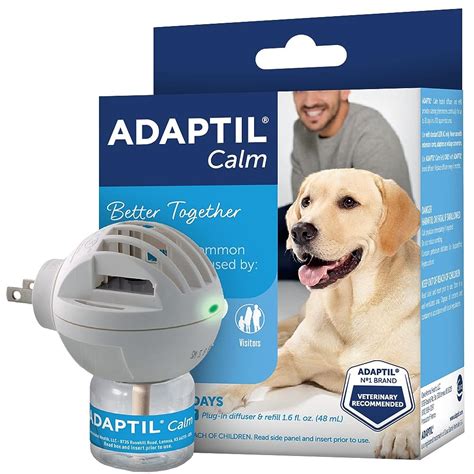 5 Best Calming Diffusers for Dogs