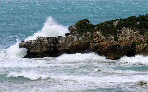 WALKERVILLE FORESHORE CAMPING RESERVE - South Gippsland