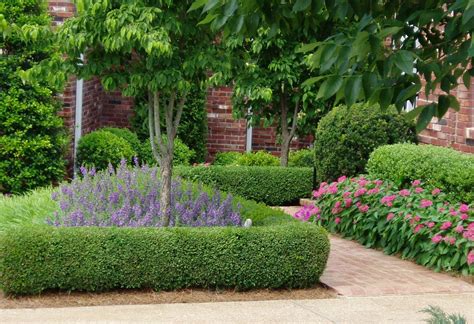 Box Hedge Garden Ideas | cuteconservative