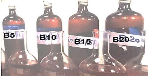 Photos of biodiesel blends samples. | Download Scientific Diagram