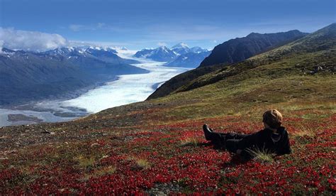 Alaska Glacier Tours - Glacier Dogsledding - Heli-HIking - ATV Tours