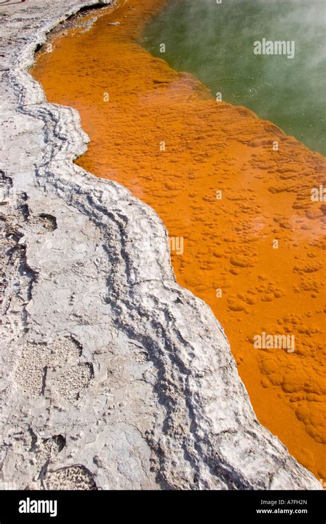 Champagne Pool Thermal Pool New Zealand Stock Photo - Alamy