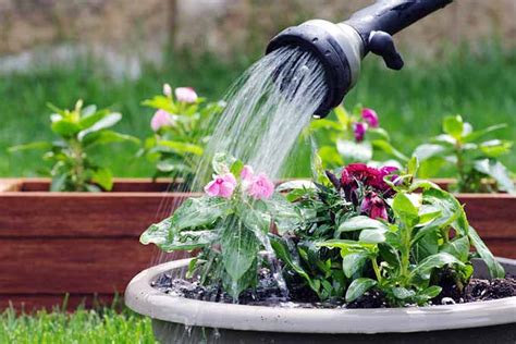 How to Water Your Plants – Part 2, Watering Planters, Pots, Boxes and ...