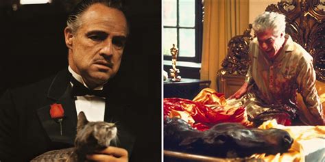 The Godfather | Screen Rant