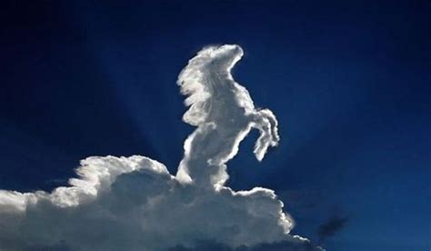 Horse shaped cloud | Clouds, Angel clouds, Beautiful nature