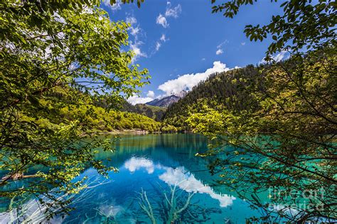 Jiuzhaigou Lake In China Photograph by Fototrav Print