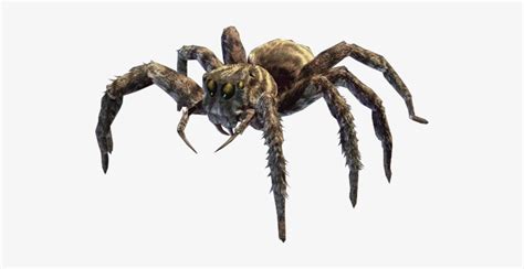 Jumping Spider Png Image - Eight Legged Freaks Spiders Transparent PNG - 527x355 - Free Download ...