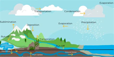 How Deforestation Affects The Water Cycle - Earth Day