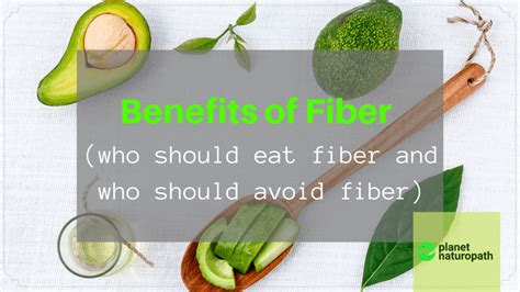 Benefits Of Fiber (who Should Eat Fiber And 3 Reasons To Avoid) - Planet Naturopath